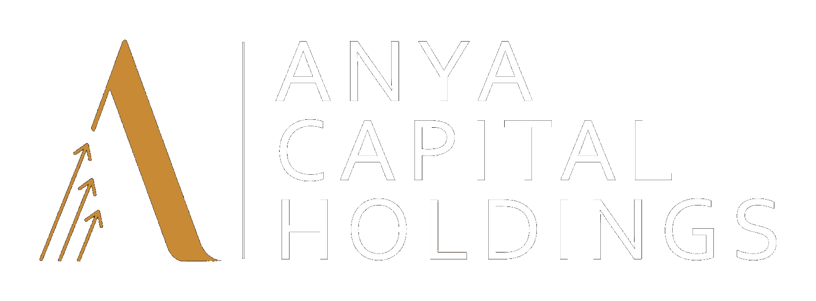 Anya Capital Holdings Private Limited